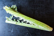 Cardoon: A Vegetable with Built-In Armor 