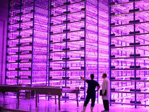 Caliber_therapeutics