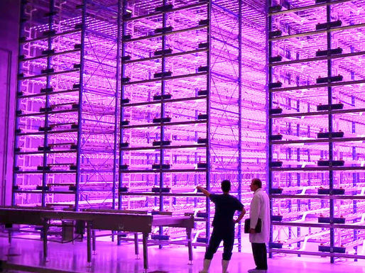 Caliber_therapeutics