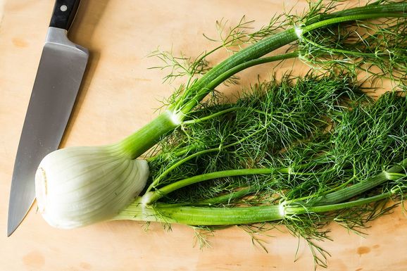 Fennel2