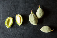 Green Almonds: Underage and Misunderstood