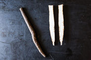 Burdock: An Unlikely Muse