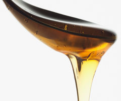 Esq-honey-2