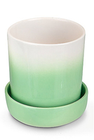 Minipot