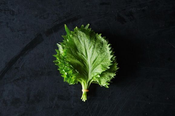 2013-0628_shiso-003small