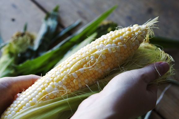 Corn1