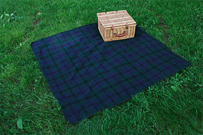 Sterling_picnic