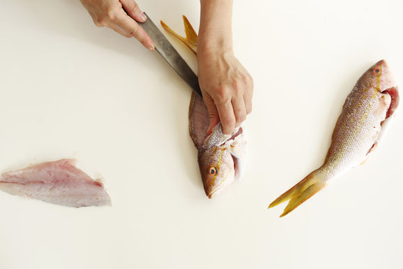 Fish9