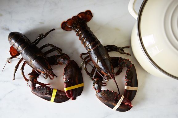 2013-0722_kc-cooking-lobster-017