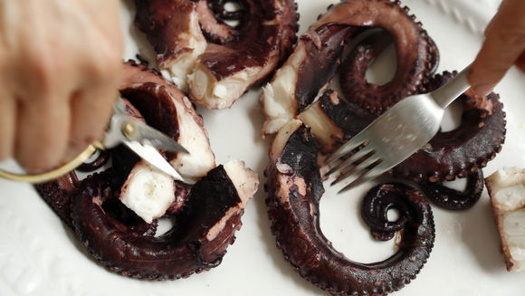 Octo3