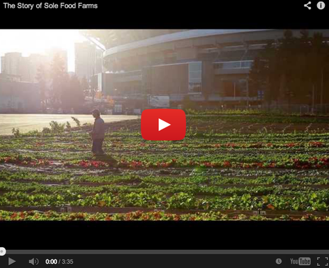 Screen_shot_2013-09-11_at_12.17.03_pm