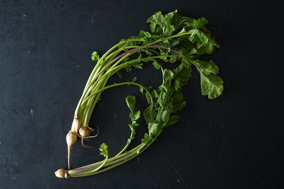 Turnipgreens