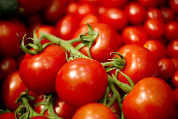Ob-tz110_tomato_e_20120731165014