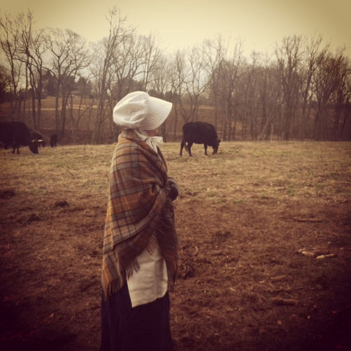Cow