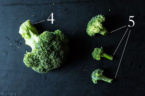 Broc