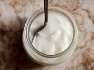 Yogurt