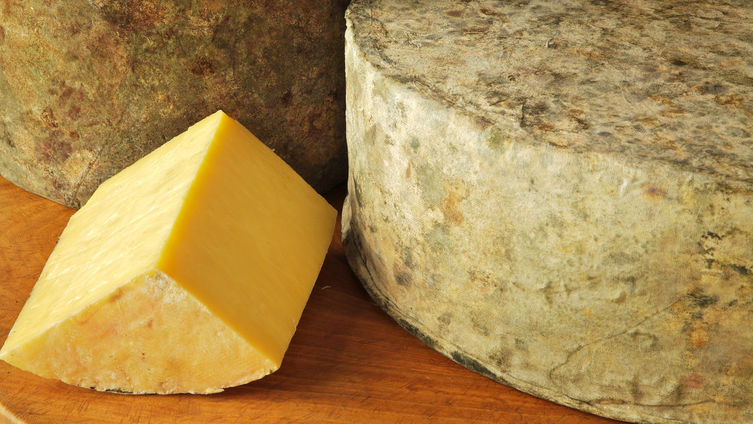 Cheese