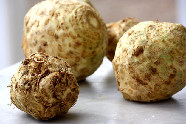 Celery-root-overall-1_slide-9e31722c63dd48170619590757939177465aabc4-s4-c85