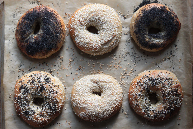 Bagels