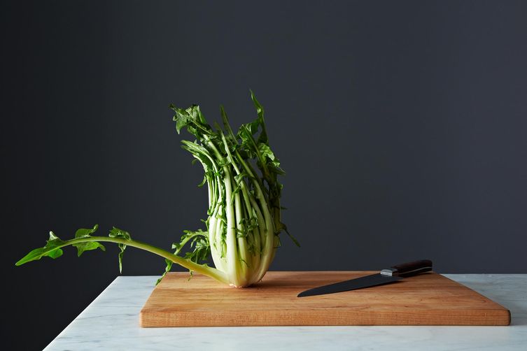 2014-0121_kc_prepping-puntarelle-008