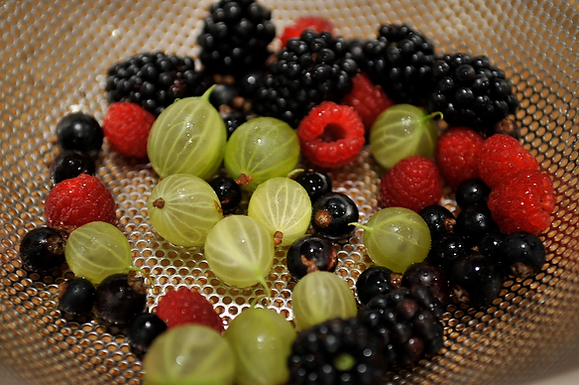 Wild Berry Basil Panna Cotta