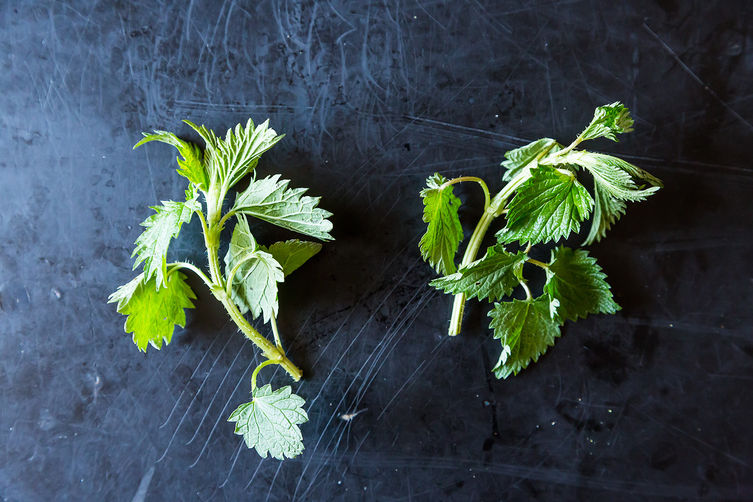Food52_04-24-13-5291