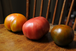 072010f52_0139