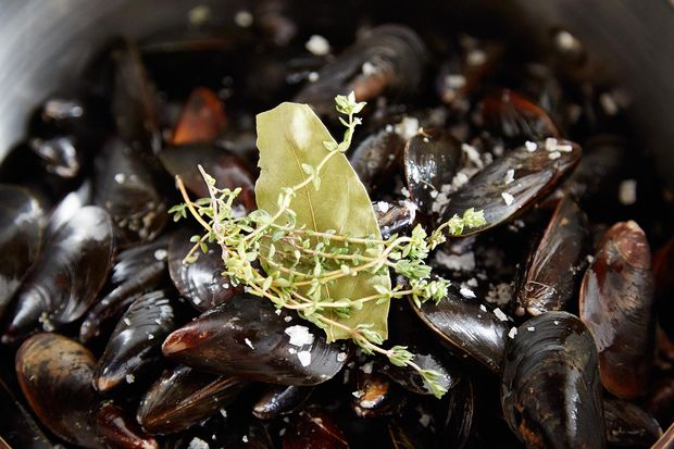 Mussels Dijonnaise (Steamed Mussels with Mustard Sauce)