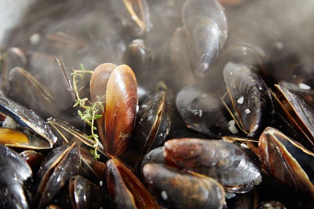 Mussels Dijonnaise (Steamed Mussels with Mustard Sauce)