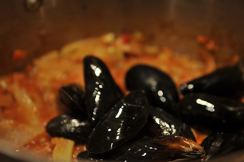 Mussels for One (or Two)