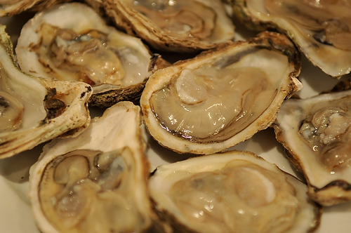 Grilled (or Broiled) Oysters with a Sriracha Lime Butter