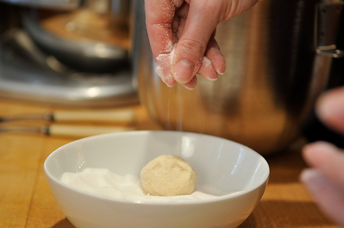 My Girls' Best Test Kitchen Sugar Cookies