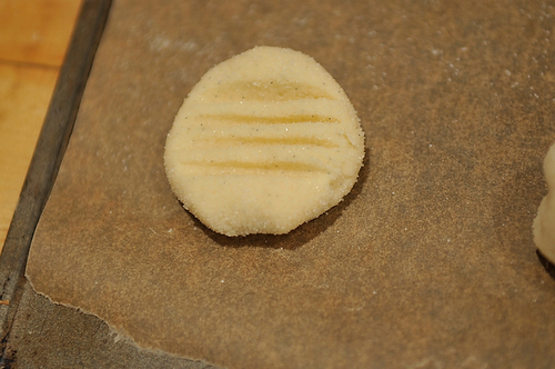 My Girls' Best Test Kitchen Sugar Cookies