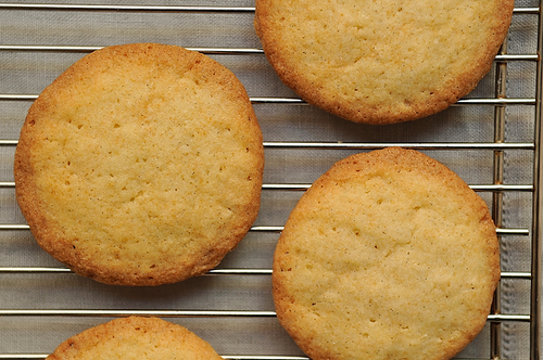 My Girls' Best Test Kitchen Sugar Cookies