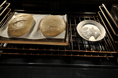 Rosemary Ciabatta with Stout Beer