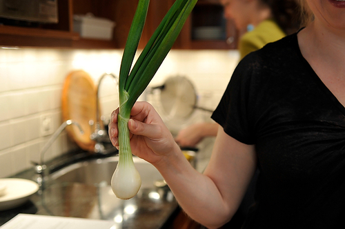 Seared Scallops with Spring Onion and Tarragon Cream