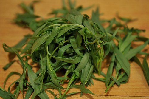 Seared Scallops with Spring Onion and Tarragon Cream