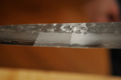 Seared Scallops with Spring Onion and Tarragon Cream