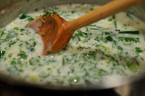 Seared Scallops with Spring Onion and Tarragon Cream