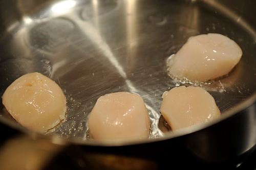 Seared Scallops with Spring Onion and Tarragon Cream