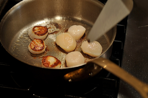 Seared Scallops with Spring Onion and Tarragon Cream
