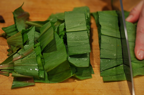 Wild Ramp Pesto