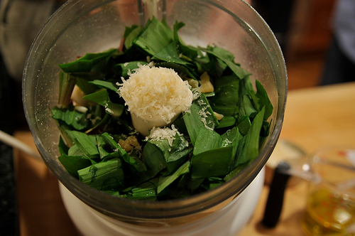 Wild Ramp Pesto