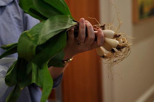 Sweet & Spicy Pickled Ramps