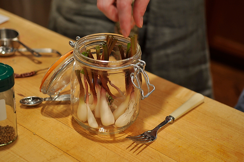 Sweet & Spicy Pickled Ramps