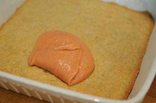 Rhubarb Curd Shortbread