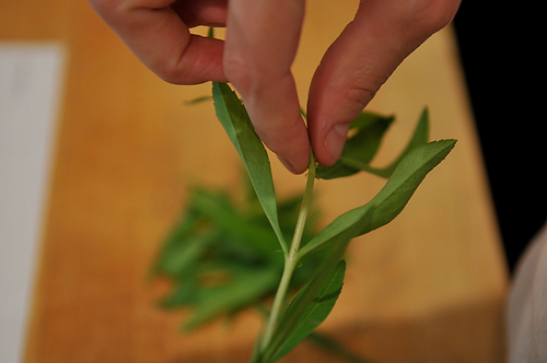 French Bean Salad with Tarragon and Green Peppercorn