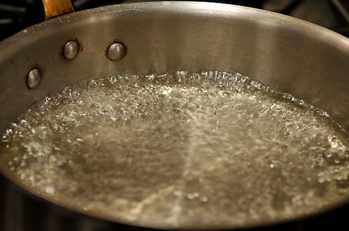 Peaches Poached with Basil