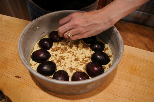 Late Summer Plum Cake