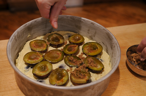 Late Summer Plum Cake